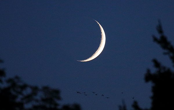 waxing-crescent-moonnow-is-the-time-to-prepare-for-the-moon-phase-in